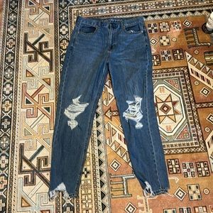 American Eagle Mom Jeans